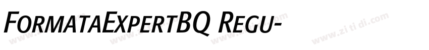 FormataExpertBQ Regu字体转换